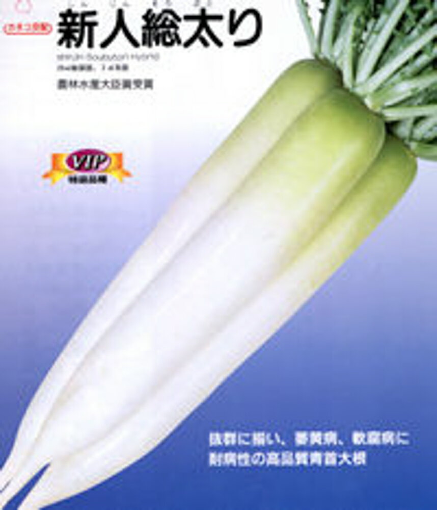 萎黄病、軟腐病に耐病性の高品質青首大根