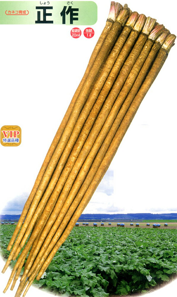 正作 1L 牛蒡 ゴボウ ごぼう【カネコ種苗 種 たね タネ 】【通常5倍 5のつく日はポイント10倍】