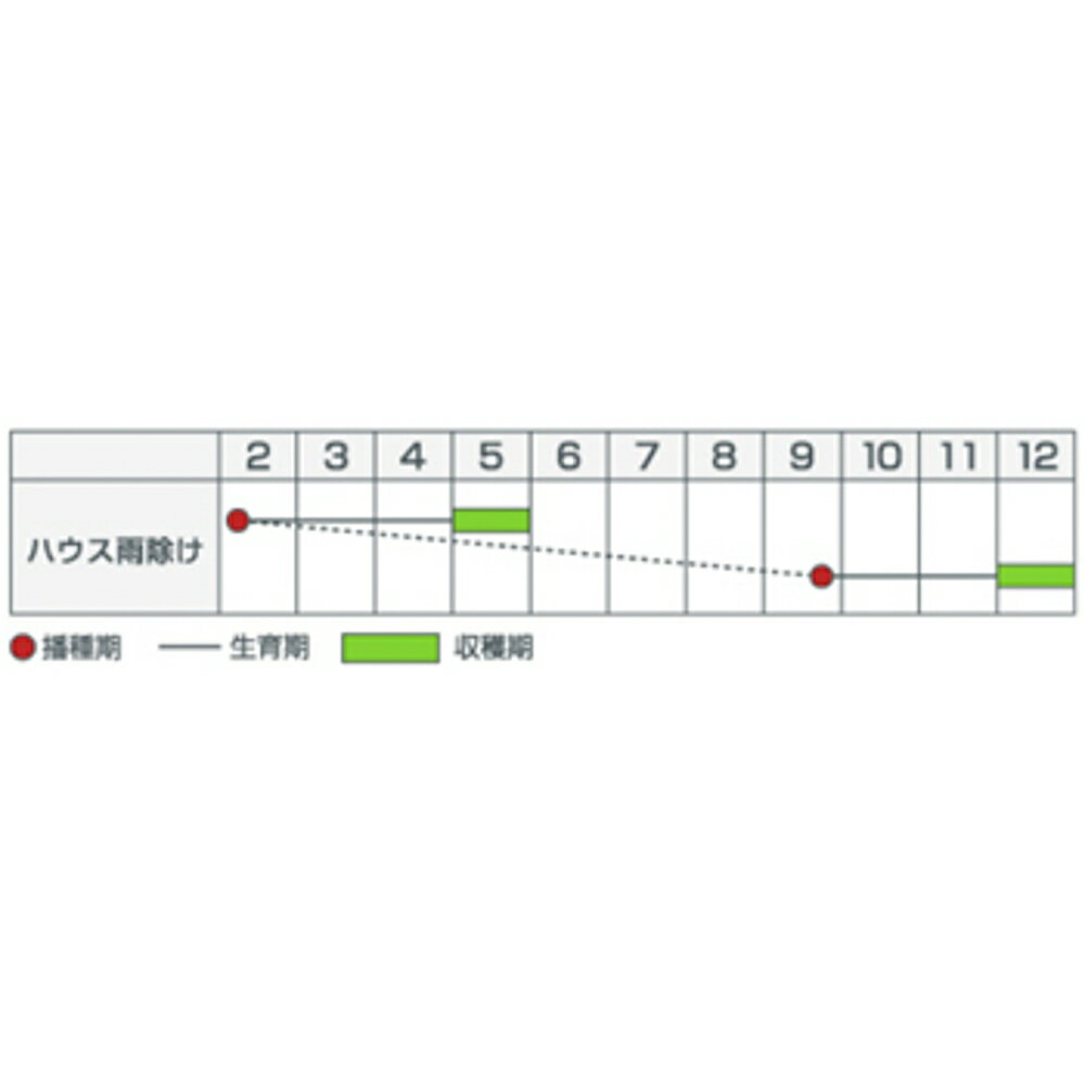 ブラックアロー 1L 葱 ネギ ねぎ【カネコ種苗 種 たね タネ 】【通常5倍 5のつく日...