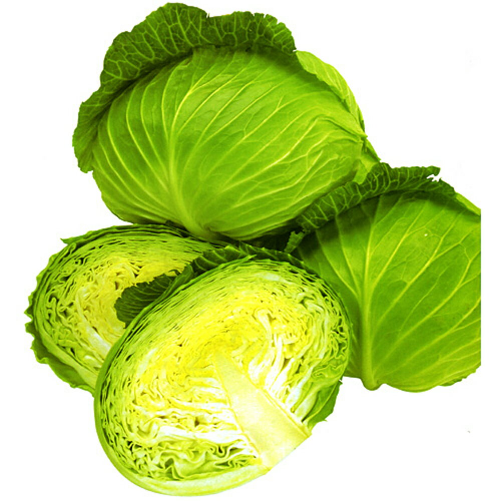 ひなの ペレット5000粒 キャベツ【カネコ種苗 種 たね タネ 】【通常5倍 5のつく日はポイント10倍】