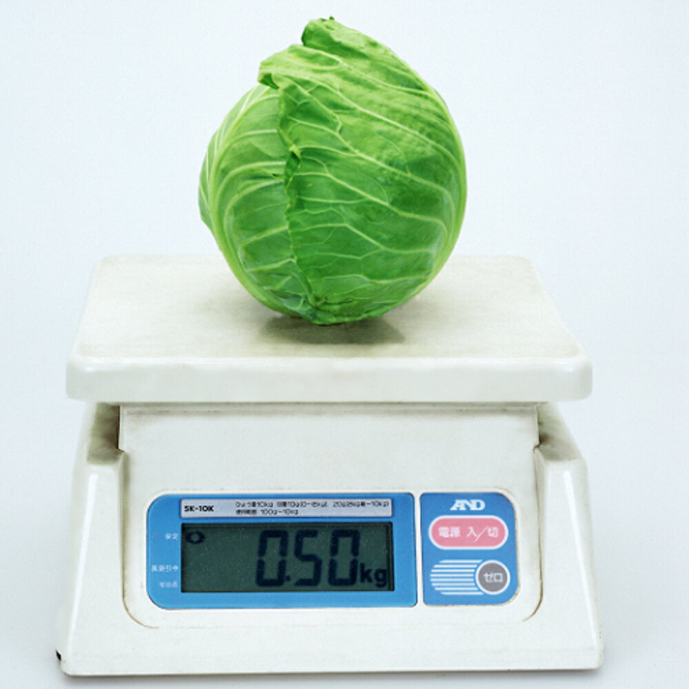 樂天商城 - 爽月2号 20ml キャベツ【カネコ種苗 種 たね タネ 】【通常5倍 5のつく日はポイント10倍】