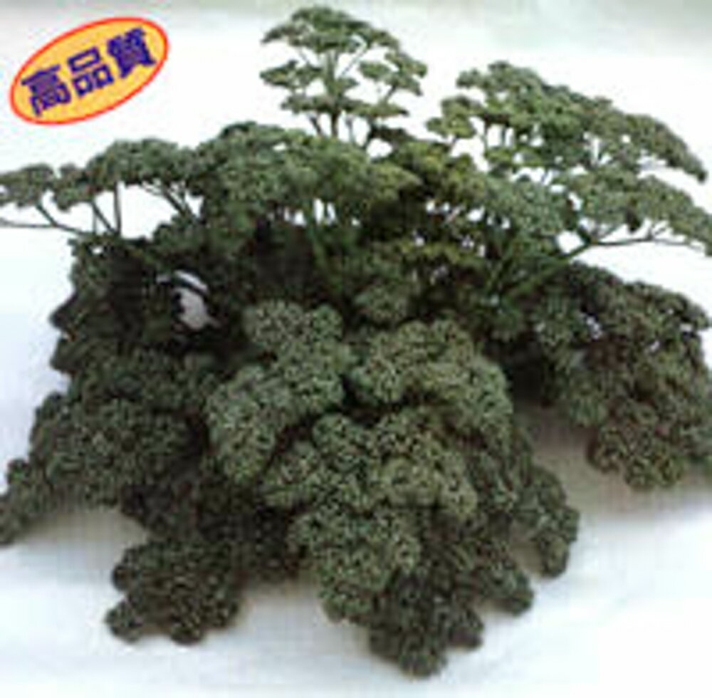 グランド 2dl パセリ【カネコ種苗 種 たね タネ 】【通常5倍 5のつく日はポイント10倍】