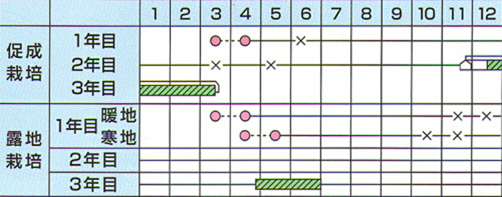 �ϥ��ǥ� 2dl �����ѥ饬���ڥ��ͥ����� �� ���� ���� �ۡ��̾�5�� 5�ΤĤ����ϥݥ����10�ܡ�