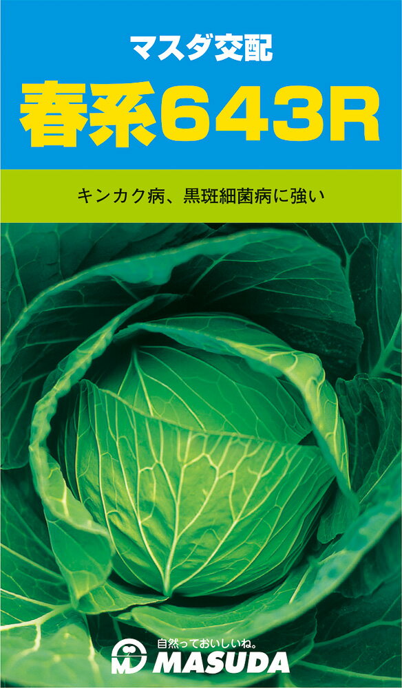 Other - 春系643R甘藍 3000粒 キャベツ 甘藍 かんらん カンラン【増田採種場 種 たね タネ】【通常5倍 5のつく日はポイント10倍】