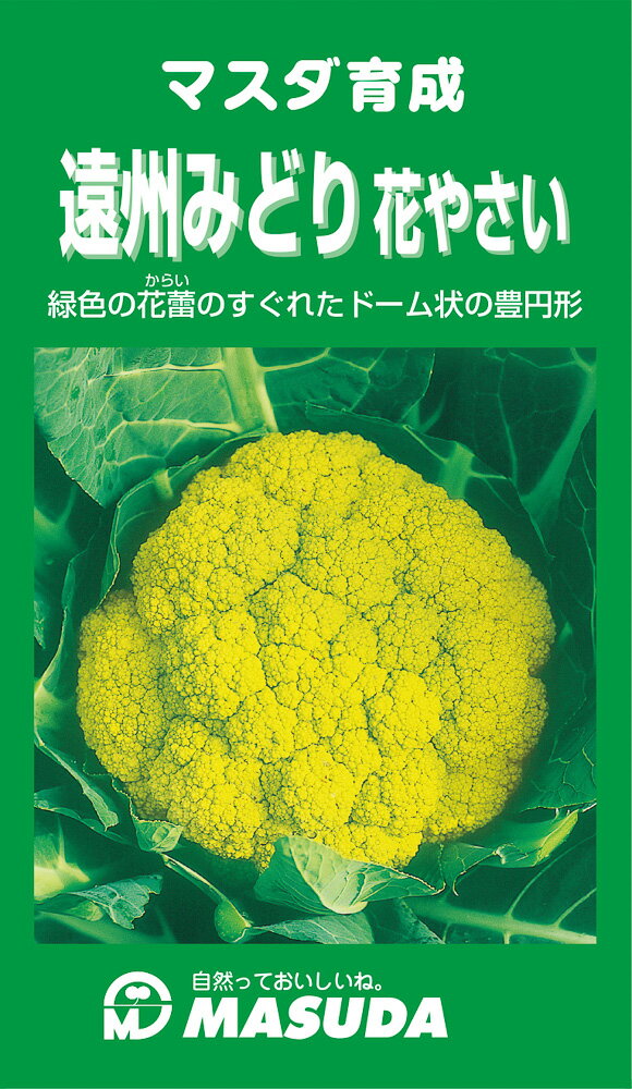 遠州みどり花やさい 1500粒 カリフラワー【増田採種場 種 たね タネ】【通常5倍 5のつく日はポイント10..