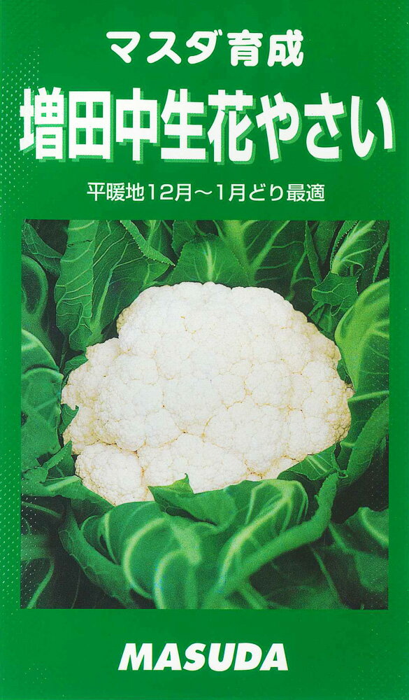 草勢旺盛で耐暑、耐寒、耐病性強く育苗用意。