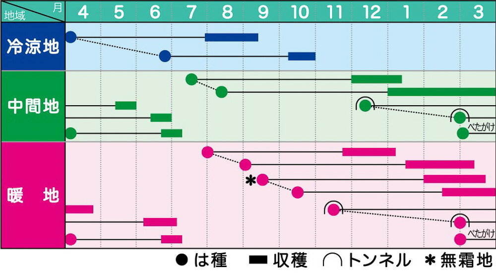 クリスティーヌ人参 ペレット1万粒 ニンジン にんじん 人参【ヴィルモランみかど ...