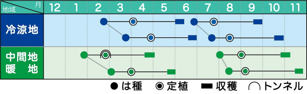 ���ԡ��ɥɡ���052 �ڥ�å� 5000γ �֥��å��꡼�ڥ��������ߤ��� �� ���� ���ۡ͡��̾�5�� 5�ΤĤ����ϥݥ����10�ܡ�