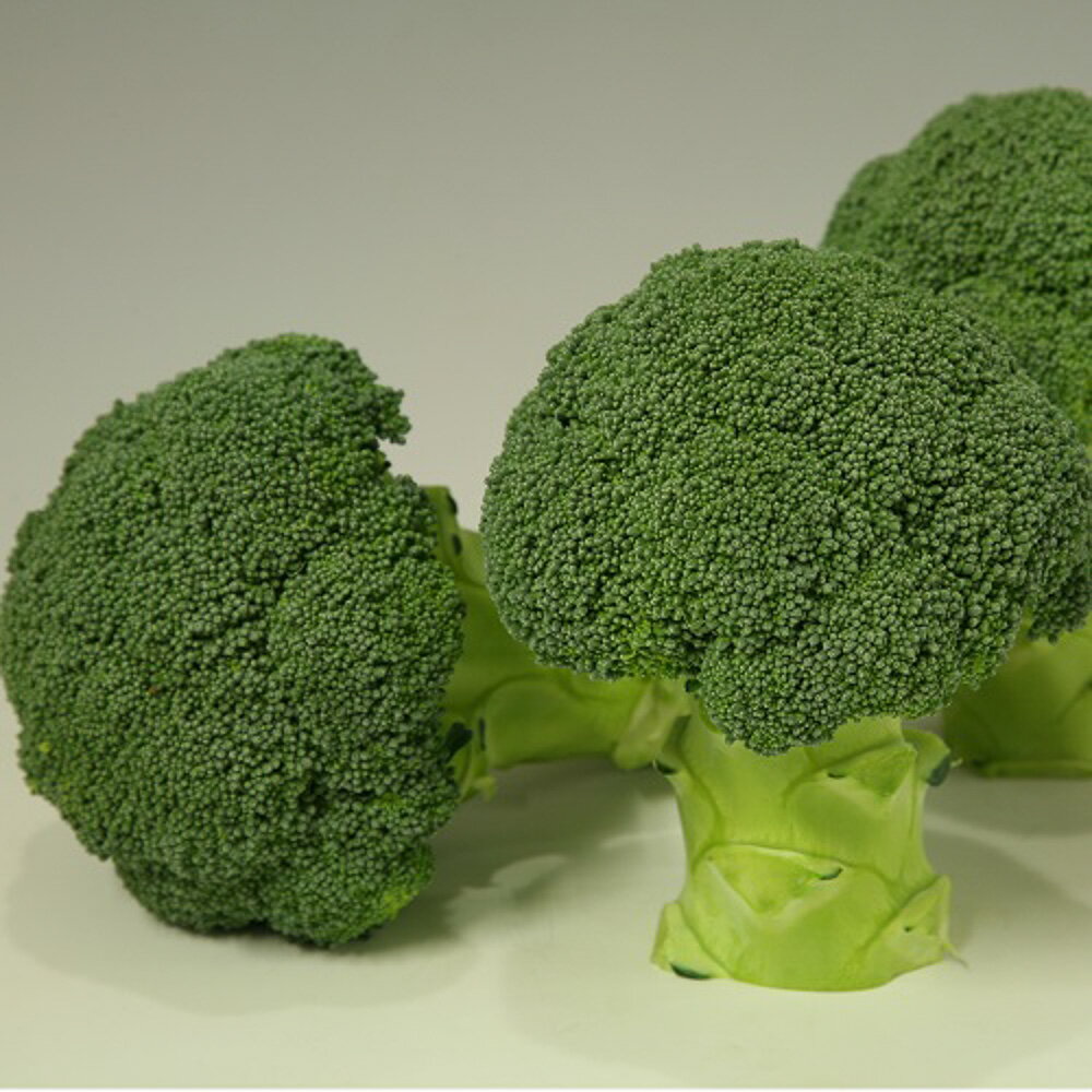 福みのり 20ml 袋 ブロッコリー【ヴィルモランみかど 種 たね タネ】【通常5倍 5のつく日はポイント10倍】