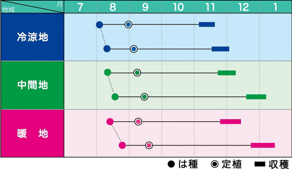 福みのり ペレット 5000粒 ブロッコリー【ヴィルモランみかど 種 たね タネ】【通...