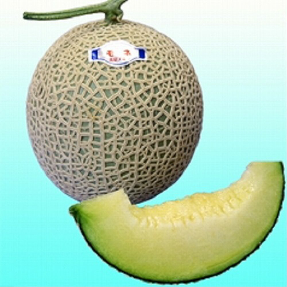 樂天商城 - モネ夏系1号 100粒 めろん メロン 舐瓜【ヴィルモランみかど 種 たね タネ】【通常5倍 5のつく日はポイント10倍】