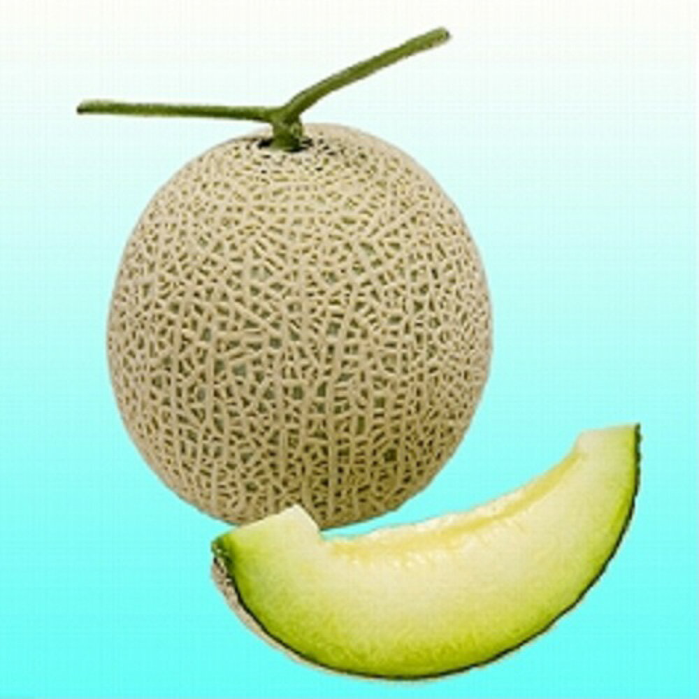 モネ初春系 100粒 めろん メロン 舐瓜【ヴィルモランみかど 種 たね タネ】【通常5倍 5のつく日はポイント10倍】