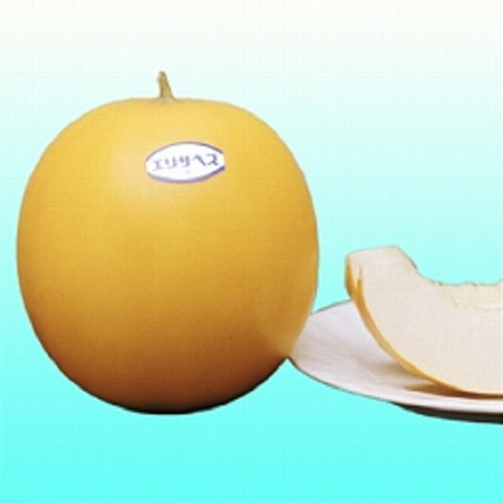 エリザベス239 100粒 めろん メロン 舐瓜【ヴィルモランみかど 種 たね タネ】【通常5倍 5のつく日はポイント10倍】