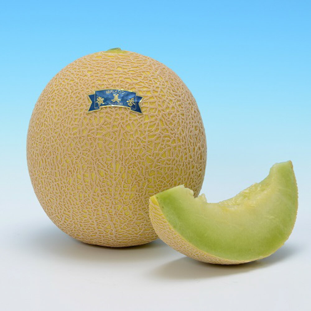 黄美香 100粒 めろん メロン 舐瓜【ヴィルモランみかど 種 たね タネ】【通常5倍 5のつく日はポイント10倍】