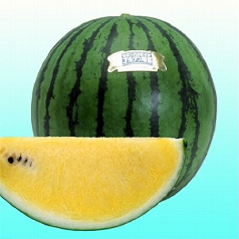 ゴールデン旭都 200粒 スイカ すいか 西瓜【ヴィルモランみかど 種 たね タネ】【...