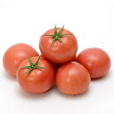 TYみそら109 1000粒 トマト とまと 蕃茄【ヴィルモランみかど 種 たね タネ】【通常5倍 5のつく日はポイント10倍】