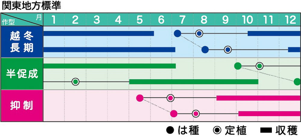 MKS-T820 1000粒 トマト とまと 蕃茄【ヴィルモランみかど 種 たね タネ】【通常5...
