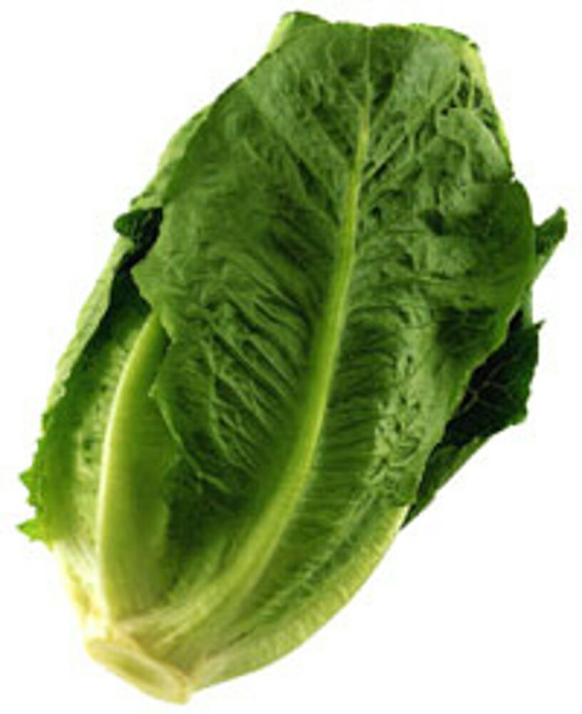 �ե��ǥ��� �����ȼ��L(5000γ) �쥿������¢����� �� ���� ���� �ۡ��̾�5�� 5�ΤĤ����ϥݥ����10�ܡ�