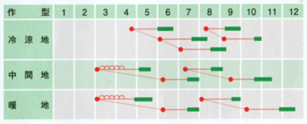 ゆりかもめ 20ml かぶ カブ 蕪 武蔵野交配【武蔵野種苗 種 たね タネ 】【通常5倍 ...