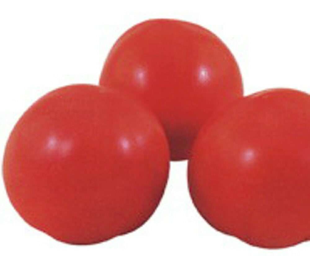 花吹雪 20ml トマト とまと 蕃茄 武蔵野交配【武蔵野種苗 種 たね タネ 】【通常5...