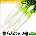 春らんまん2号 20ml 大根 ダイコン だいこん 武蔵野交配【武蔵野種苗 種 たね タネ 】【通常5倍 5のつく日はポイント10倍】