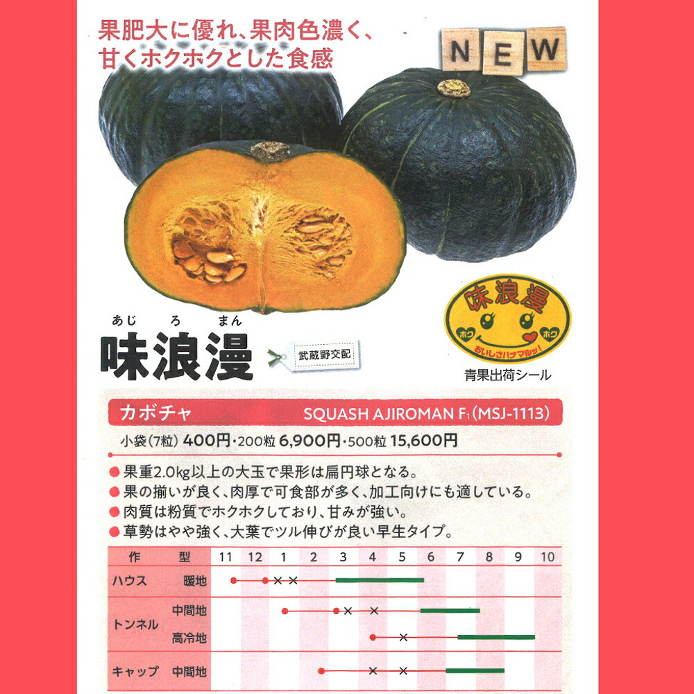 樂天商城 - 味浪漫 200粒 南瓜 カボチャ かぼちゃ 武蔵野交配【武蔵野種苗 種 たね タネ 】【通常5倍 5のつく日はポイント10倍】