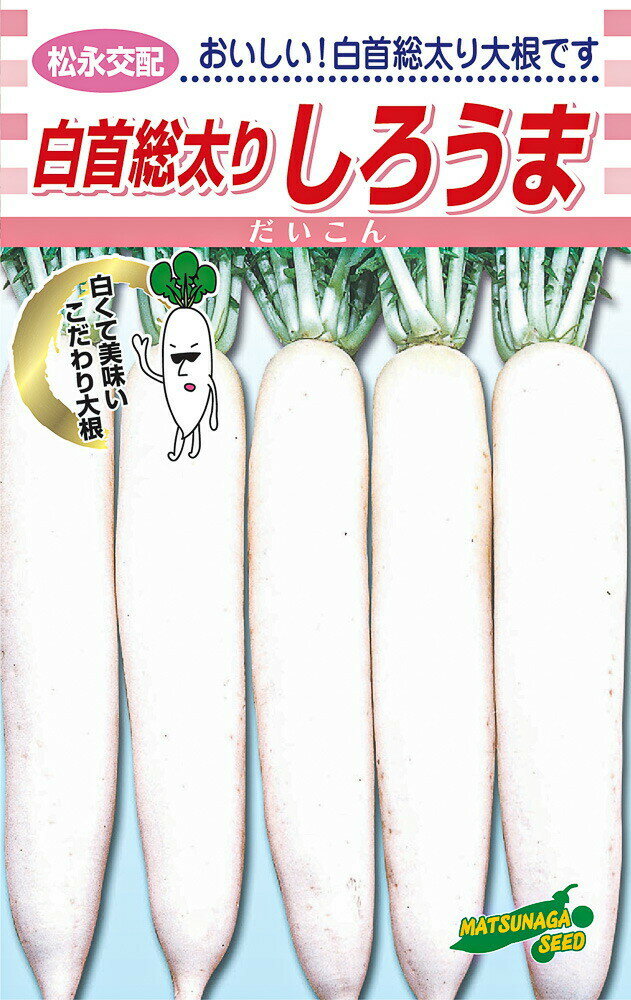 白首総太りしろうま 2dl詰 大根 ダイコン だいこん 松永交配 【松永種苗 種 たね タネ】【通常5倍 5のつく日はポイント10倍】