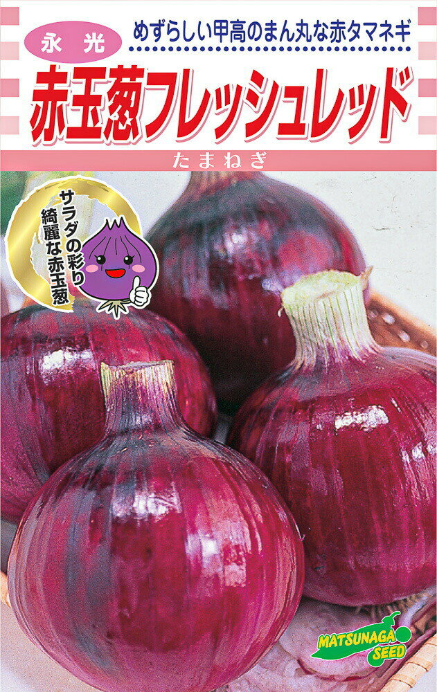 永光 赤玉葱フレッシュレッド　20ml詰 玉ねぎ たまねぎ 玉葱 タマネギ【松永種苗 種 たね タネ】【通常5倍 5のつく日はポイント10倍】