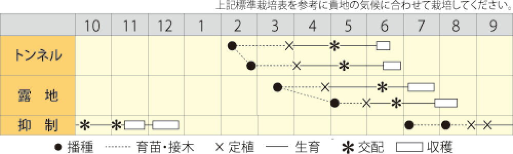 姫甘泉シャリエ 200粒詰 スイカ すいか 西瓜 宇治交配 【丸種 種 たね タネ】【通...