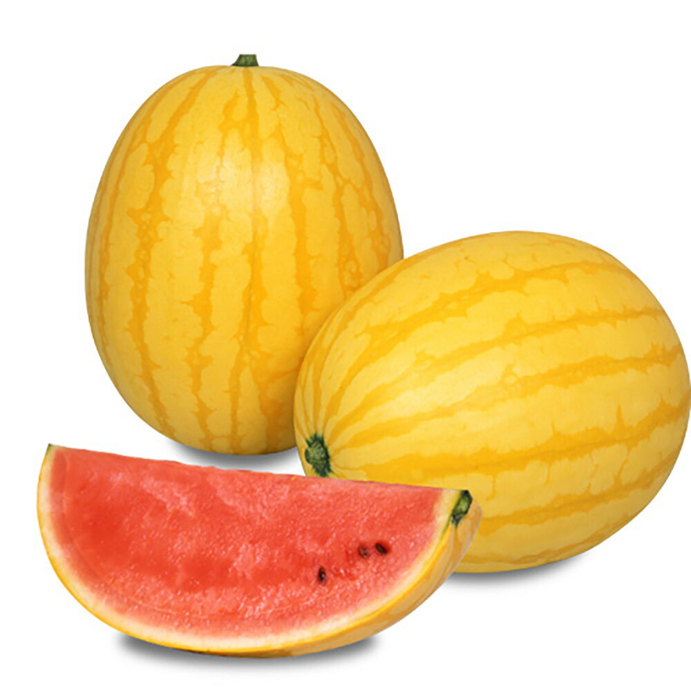 黄衛門(きえもん) 200粒詰 スイカ すいか 西瓜 宇治交配 【丸種 種 たね タネ】【通常5倍 5のつく日はポイント10倍対象外商品ポイント3倍固定商品】