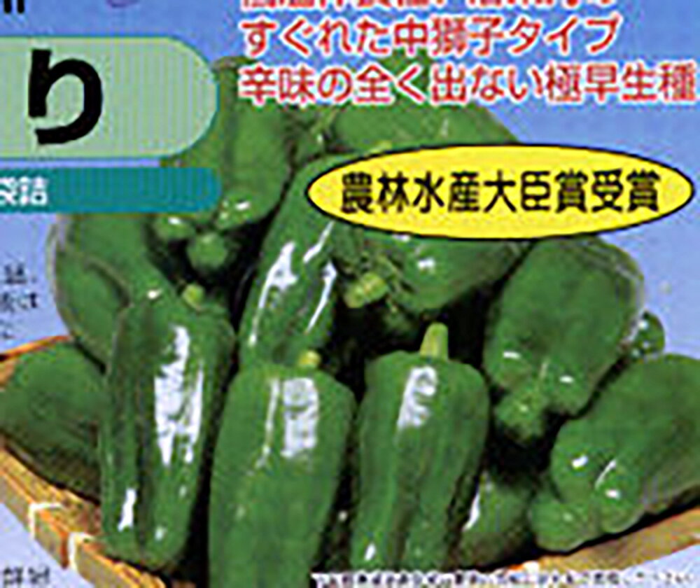 ひじり 20ml詰 ピーマン ぴーまん 宇治交配 【丸種 種 たね タネ】【通常5倍 5のつく日はポイント10倍..