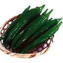 サクっとあまなが 500粒詰 唐辛子 とうがらし トウガラシ 一代交配 【丸種 種 たね タネ】【通常5倍 5のつく日はポイント10倍対象外商品ポイント3倍固定...