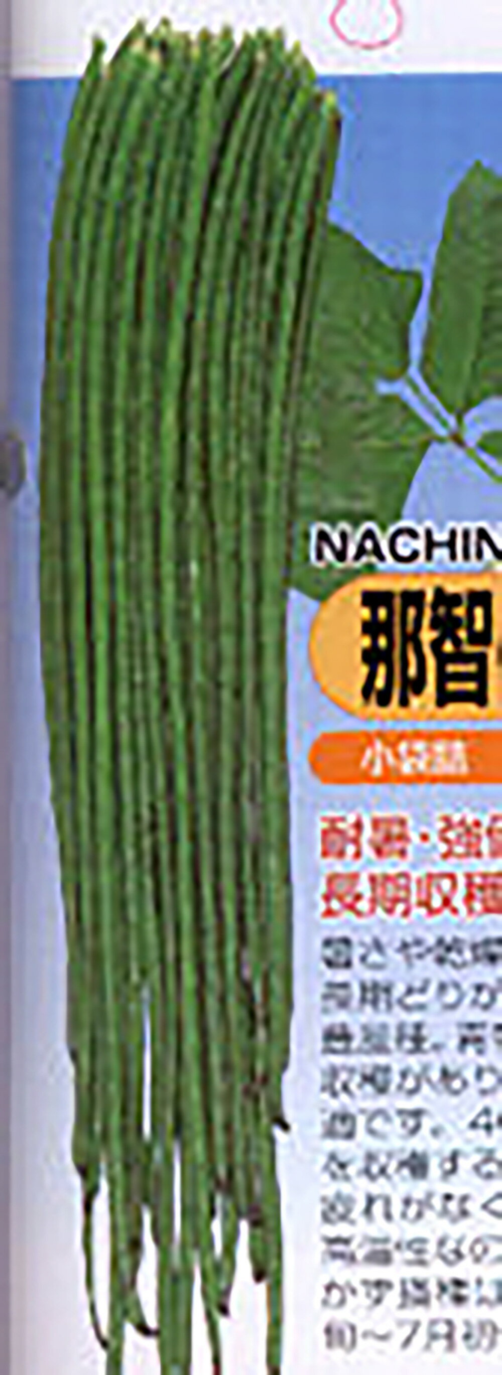 樂天商城 - 那智の滝 1dl詰 鞘隠元 サヤインゲン さやいんげん【丸種 種 たね タネ】【通常5倍 5のつく日はポイント10倍対象外商品ポイント3倍固定商品】