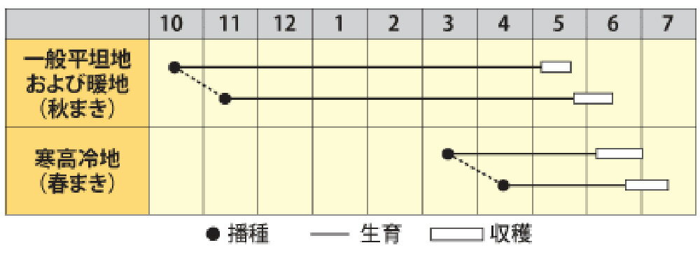 ���ߤɤ� 1L�� ���䤨��ɤ� ���䥨��ɥ� ��Ʀ�ڴݼ� �� ���� ���ۡ͡��̾�5�� 5�ΤĤ����ϥݥ����10���оݳ����ʥݥ����3�ܸ��꾦�ʡ�