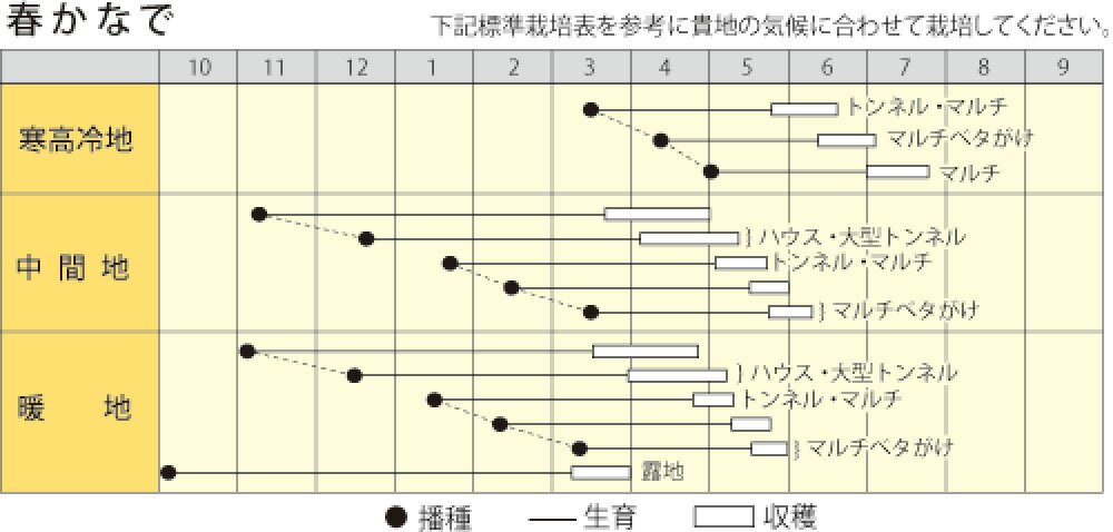 �դ��ʤ� ������5000γ �纬 �������� �������� �������� �ڴݼ� �� ���� ���ۡ͡��̾�5�� 5�ΤĤ����ϥݥ����10���оݳ����ʥݥ����3�ܸ��꾦�ʡ�