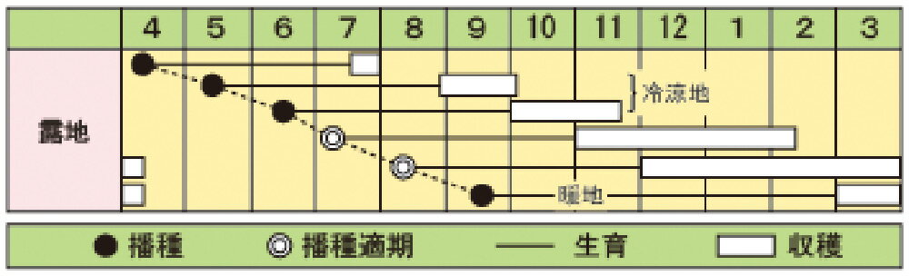 �ߵ����� ������10000γ �˥󥸥� �ˤ󤸤� �ͻ� �������� �ڴݼ� �� ���� ���ۡ͡��̾�5�� 5�ΤĤ����ϥݥ����10���оݳ����ʥݥ����3�ܸ��꾦�ʡ�