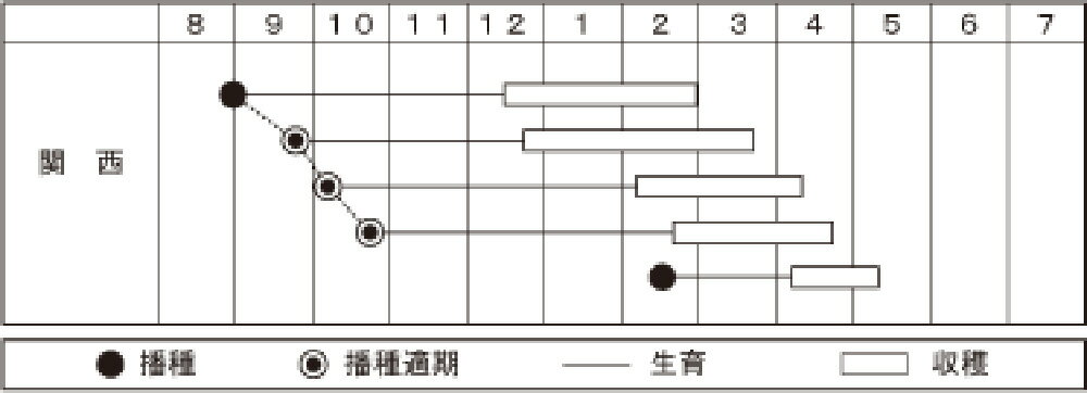 CR花かんざし 2dl詰 菜花 ナバナ なばな 宇治交配 【丸種 種 たね タネ】【通常5倍...