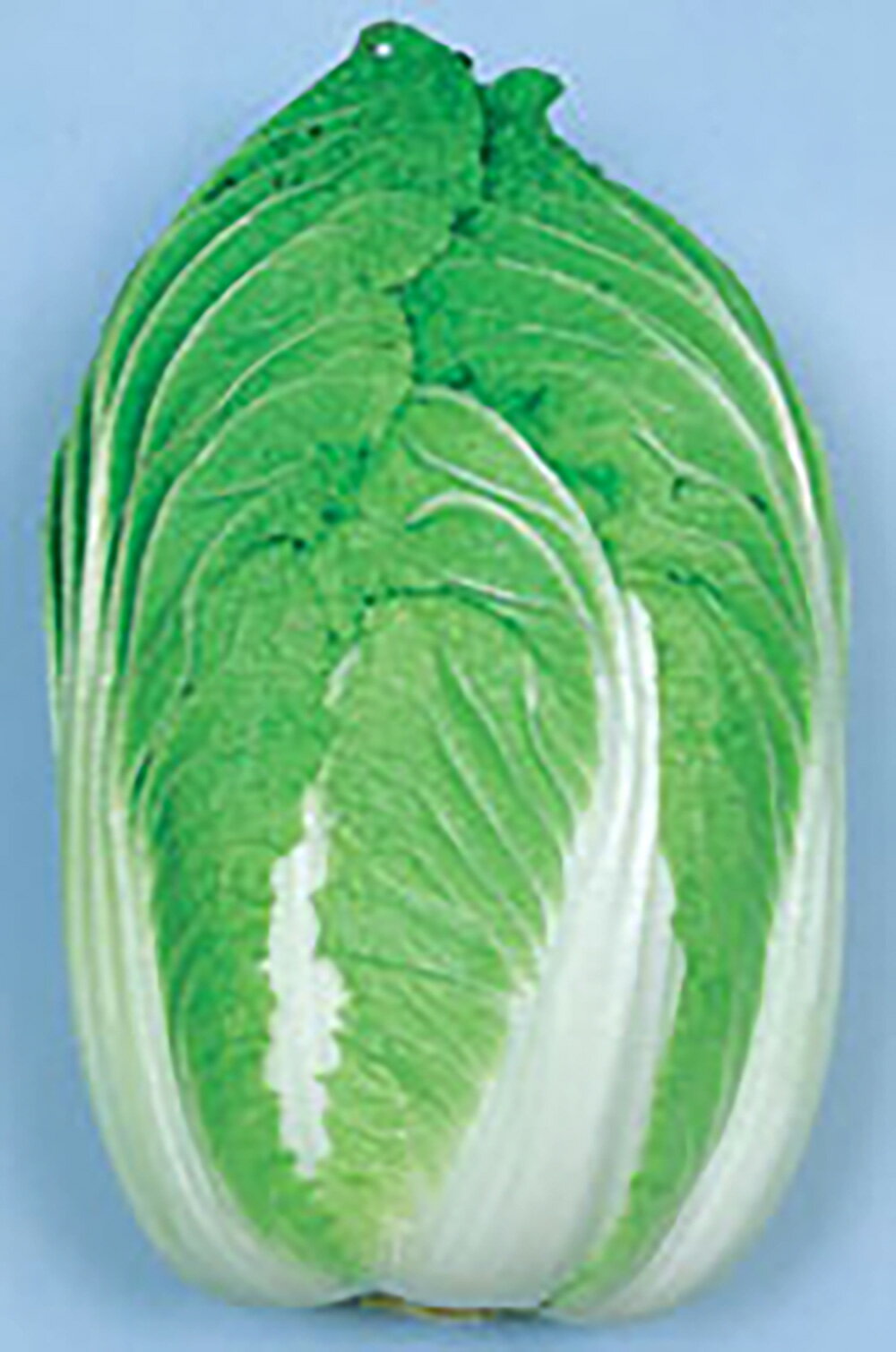 力 (ちから) 1dl詰 白菜 ハクサイ はくさい 宇治交配 【丸種 種 たね タネ】【通常5倍 5のつく日はポイント10倍対象外商品ポイント3倍固定商品】