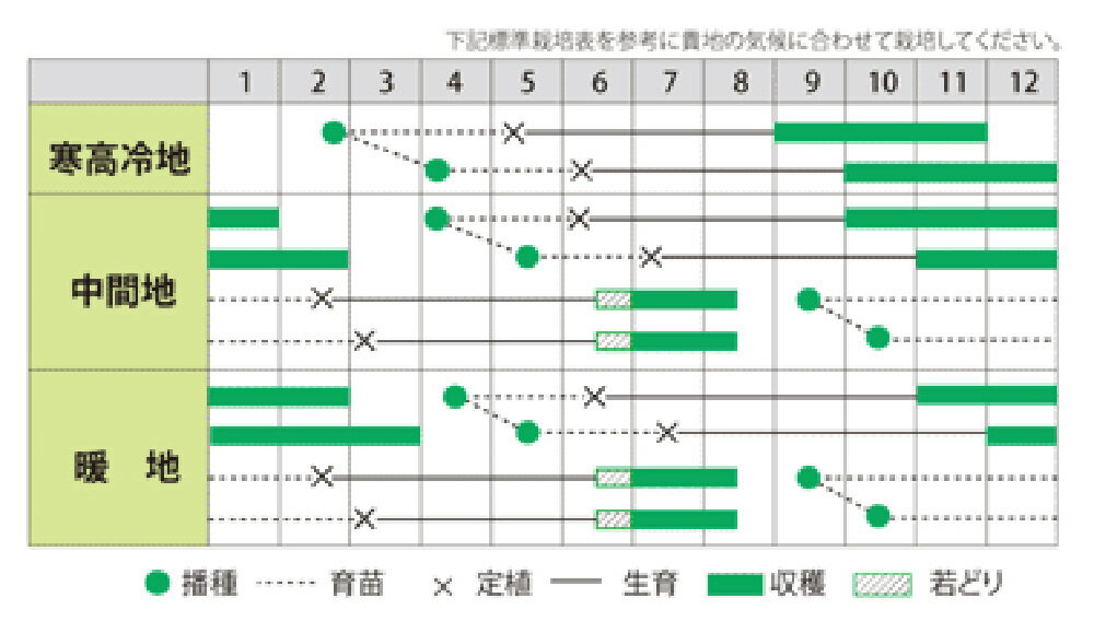 �꡼�� �ᥬ�ȥ� 1000γ�� Ǭ �ͥ� �ͤ� ������ۡ��ڴݼ� �� ���� ���ۡ͡��̾�5�� 5�ΤĤ����ϥݥ����10���оݳ����ʥݥ����3�ܸ��꾦�ʡ�