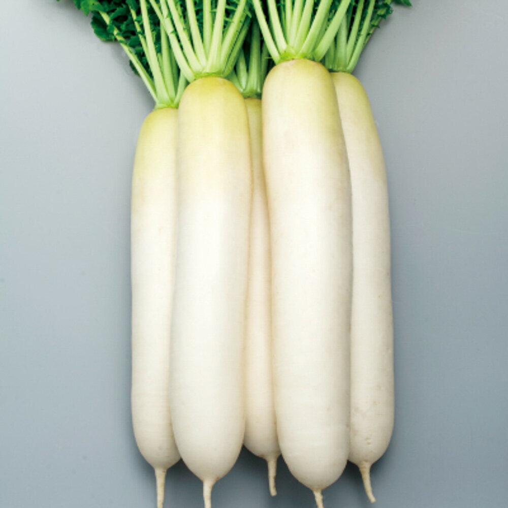 �Ƥߤɤ�2�� 5��γ�ʥ�����3L�� �纬 �������� �������� F1 �渶�μ�� ���渶�μ�� �� ���� ���� �ۡ��̾�5�� 5�ΤĤ����ϥݥ����10�ܡ�