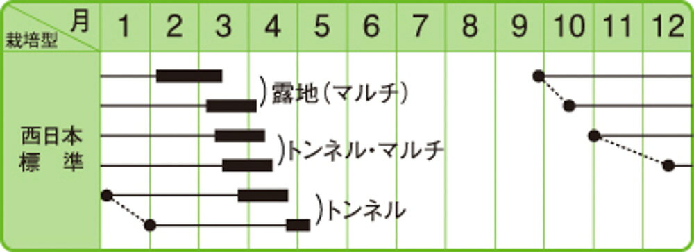 春やよい2号 1000粒 大根 ダイコン だいこん F1 中原採種場 【中原採種場 種 たね ...