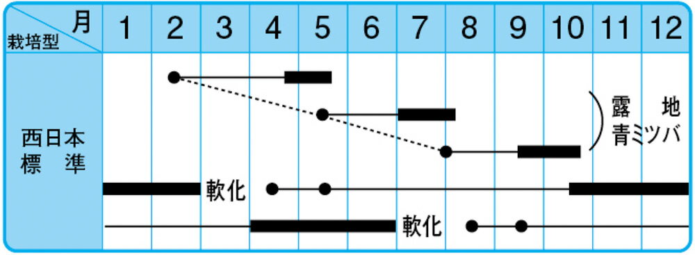 ����ߤĤС�����ϡ� 20l �ߤĤ� �ߥĥ� ������ �渶�μ�� ���渶�μ�� �� ���� ���� �ۡ��̾�5�� 5�ΤĤ����ϥݥ����10�ܡ�