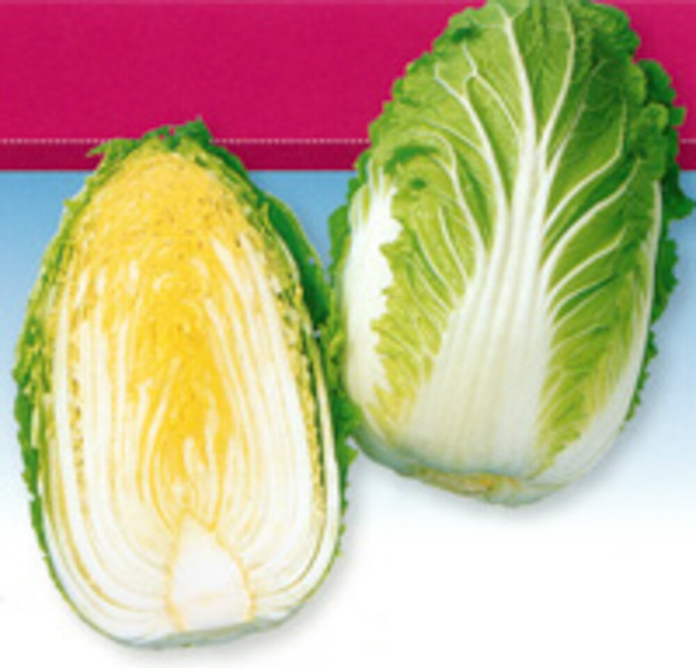 ����65�� 5��γ�ʥ�����L�� ��� �ϥ����� �Ϥ����� F1 �渶�μ�� ���渶�μ�� �� ���� ���� �ۡ��̾�5�� 5�ΤĤ����ϥݥ����10�ܡ�