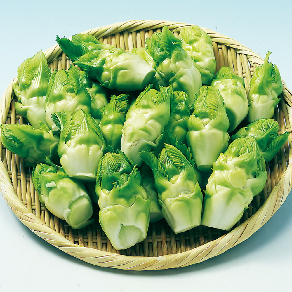 ������ڡ�������һ��� 5��γ�ʥ�����L�� ���餷�� ���饷�� ���餷�� �渶�μ�� ���渶�μ�� �� ���� ���� �ۡ��̾�5�� 5�ΤĤ����ϥݥ����10�ܡ�