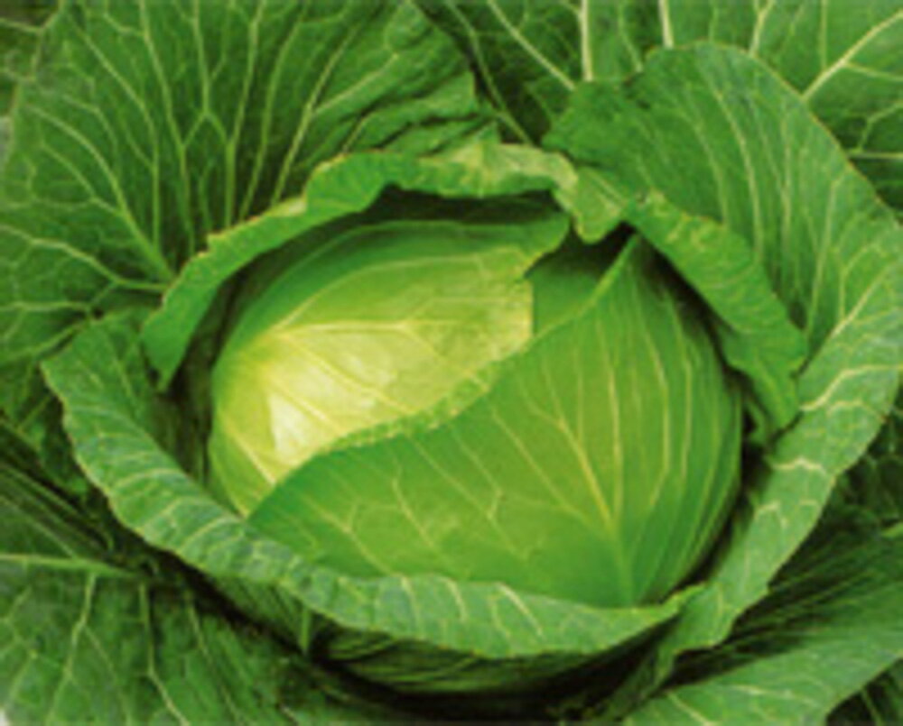 YR��� 5��γ�ʥ�����L�� ����٥� F1 �渶�μ�� ���渶�μ�� �� ���� ���� �ۡ��̾�5�� 5�ΤĤ����ϥݥ����10�ܡ�