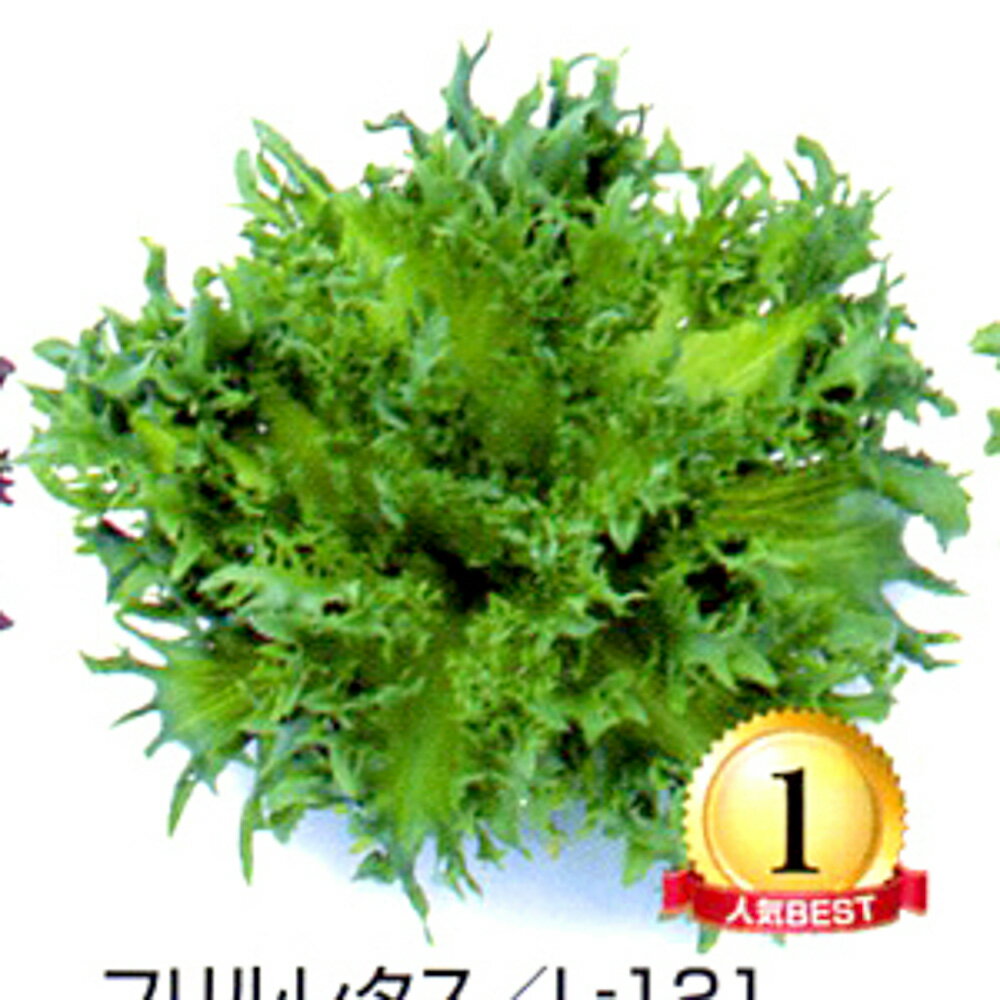 �ե��쥿����L-121 5��γ�ʥ�����L�� �쥿�� �渶�μ�� ���渶�μ�� �� ���� ���� �ۡ��̾�5�� 5�ΤĤ����ϥݥ����10�ܡ�