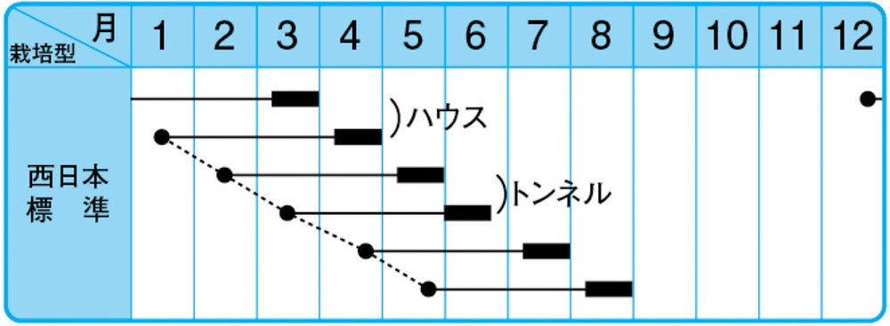 ふさみどり 1L 枝豆 えだまめ エダマメ 【中原採種場 種 たね タネ 】【通常5倍 5のつく日はポイント10倍】 2