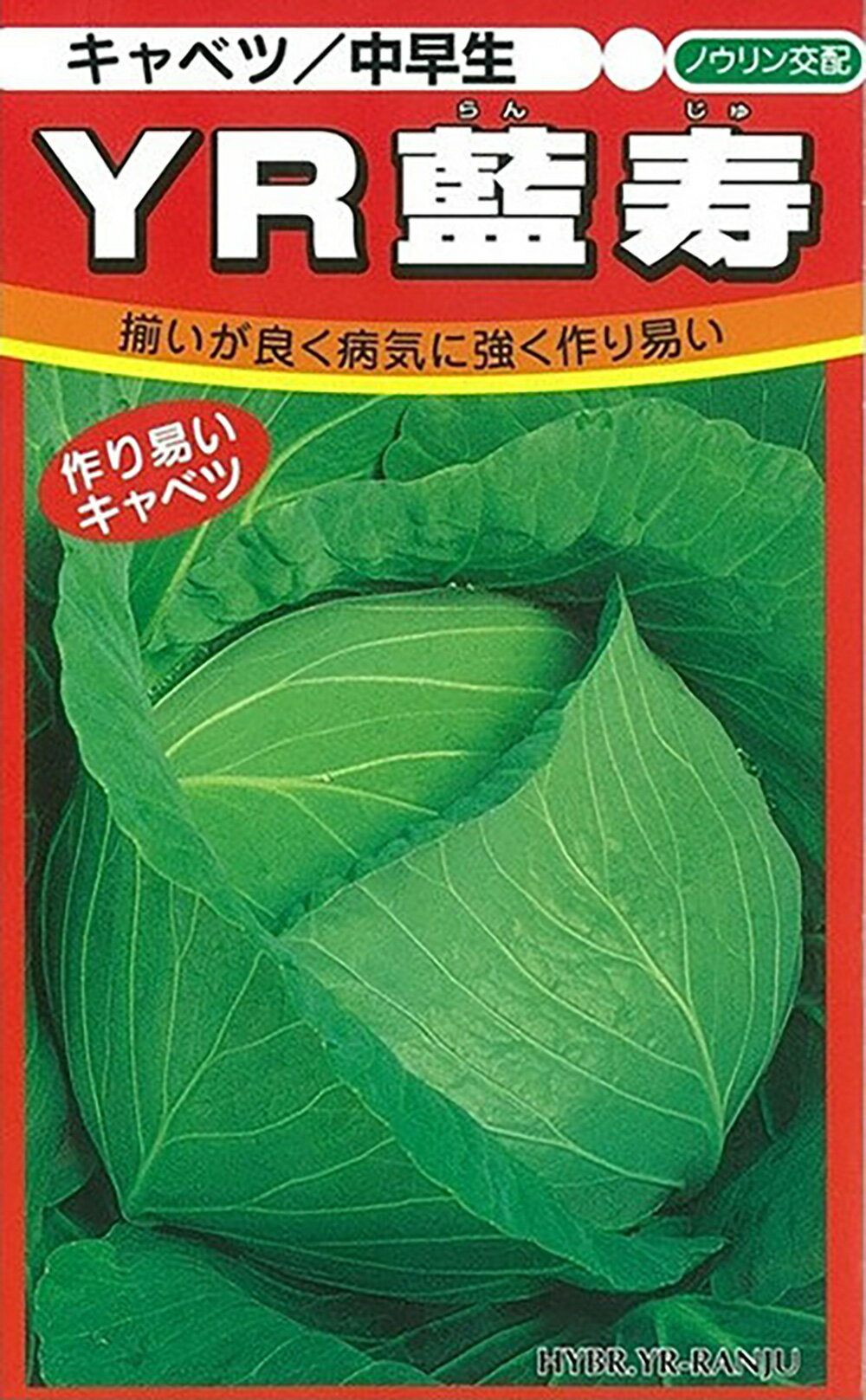 Rakuten - YR藍寿 ペレット 5000粒 キャベツ ノウリン交配 【日本農林社 種 たね タネ 】【通常5倍 5のつく日はポイント10倍】