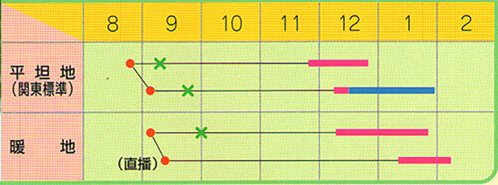 ����Ϻ �ڥ�å� 5000γ ��� �ϥ����� �Ϥ����� �Υ������� ���������Ӽ� �� ���� ���� �ۡ��̾�5�� 5�ΤĤ����ϥݥ����10�ܡ�
