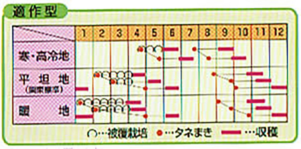 ������ ������FC 2dl ���� ���� �� �Υ������� ���������Ӽ� �� ���� ���� �ۡ��̾�5�� 5�ΤĤ����ϥݥ����10�ܡ�